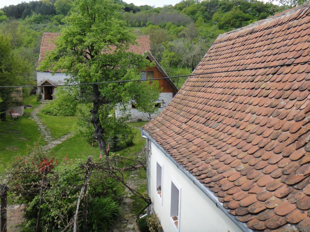 Dominic Boutique - Casa Mare Pensionat Cloasterf Eksteriør billede